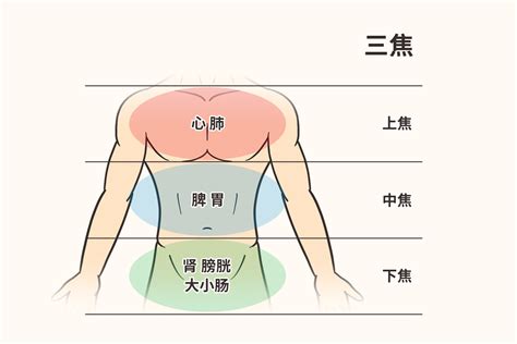 胸相